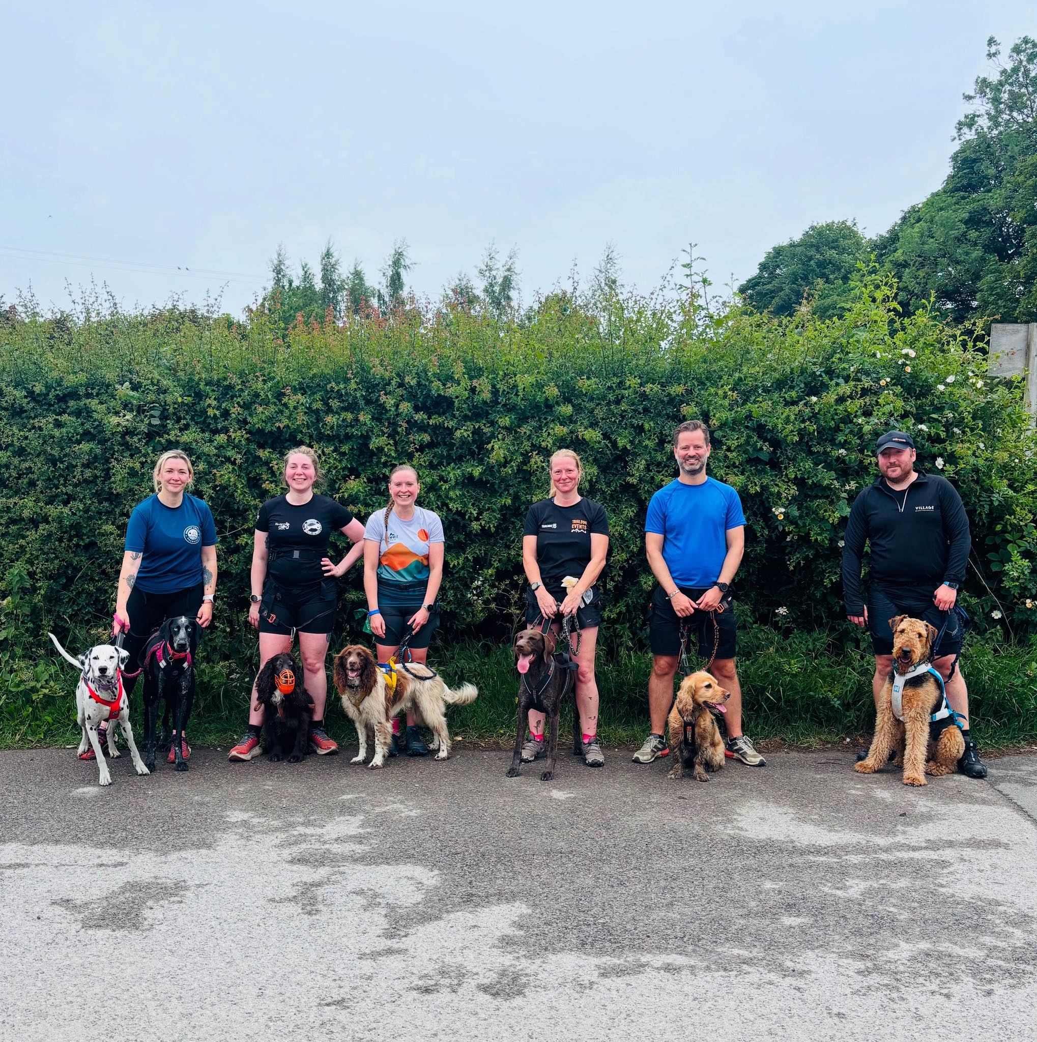 Group Bark Run session