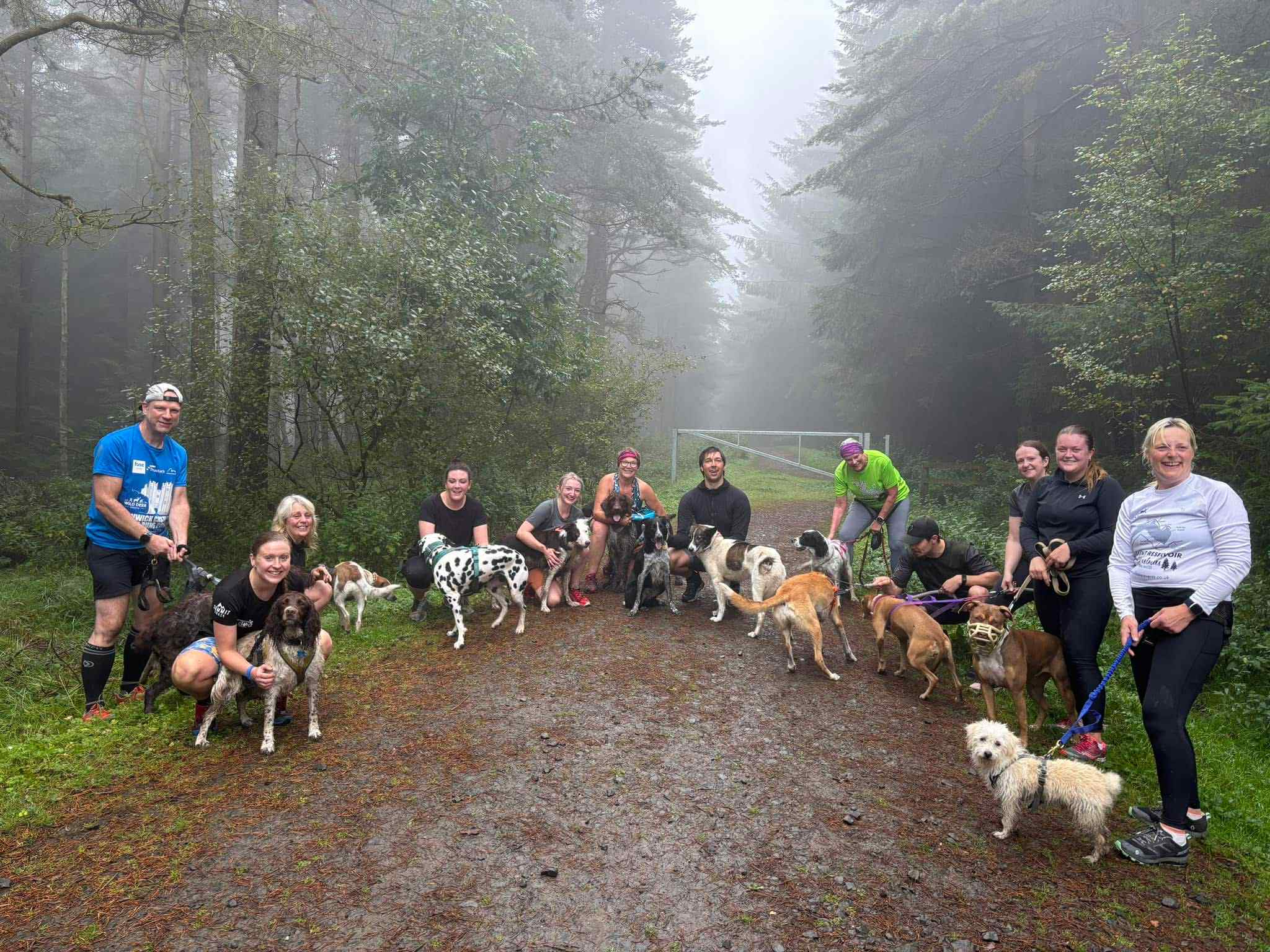 Geordie CaniSports misty group photo