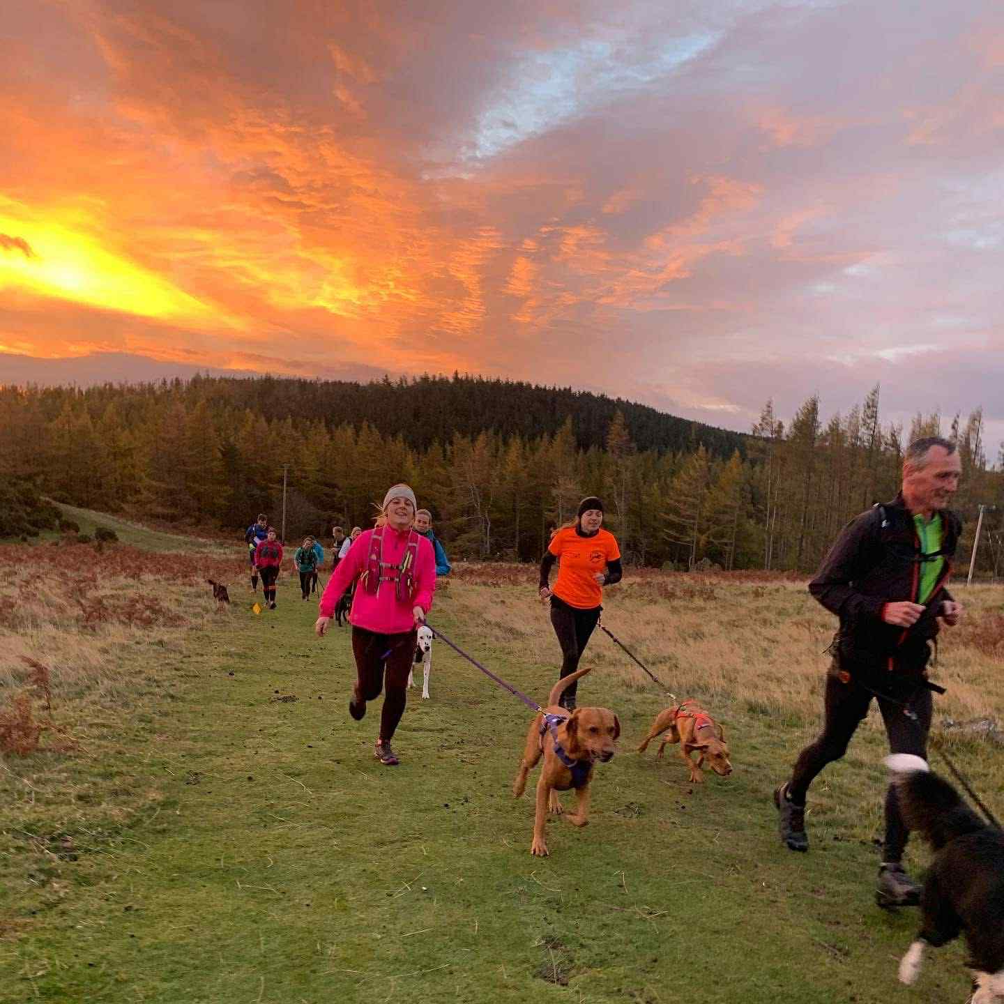 Sunrise action shot