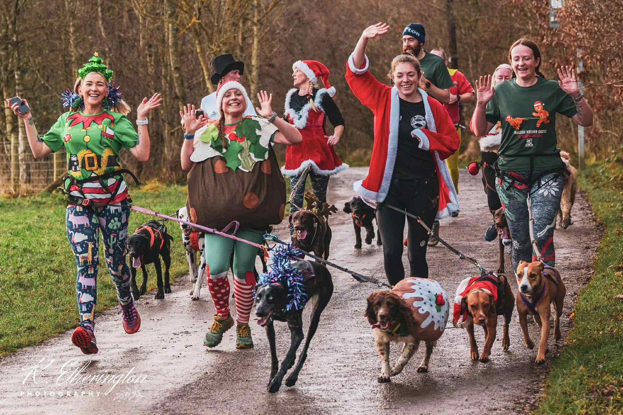 Geordie CaniSports Christmas action shot